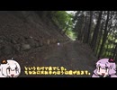 山梨放浪記そのさん　-山梨県道１１３号線-