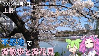 2025年4月7日 東京 上野 不忍池へ桜を見に行く