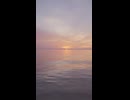 炎/LiSA  歌ってみた