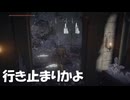 #119【ELDEN RING】進む方向がわからなくなる！【エルデンリング初見実況】