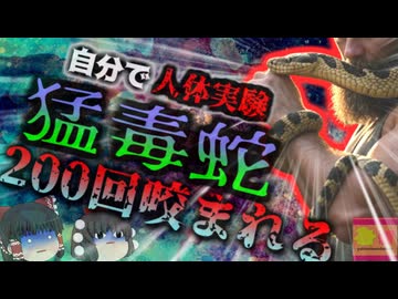 【2025年】『猛毒蛇で人体実験』自ら毒蛇に咬まれ700回以上毒を注射した男性 抗体を獲得し万能解毒剤開発へ【ゆっくり解説】