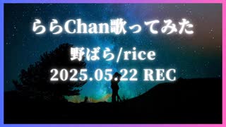 野ばら/rice 歌ってみた(唄 ららChan)25.05.22