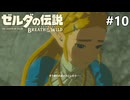 葛藤【ゼルダの伝説 ブレス オブ ザ ワイルドのんびり実況】#10