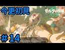 そらこのサムネになるよ【ゼルダの伝説 ティアーズ オブ ザ キングダム】Part14