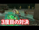 ゼルダの伝説　ティアーズ オブ ザ キングダム　実況プレイPart381