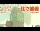 【ティアキン】依頼を受けて、ブロックゴーレムのコアを柱に埋め込んでみた【ドリカラ】【ボイスピ実況,ゼルダの伝説,ティアーズオブザキングダム,TotK,バグ,検証 】