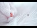 【こりん】猫を歌ってみた