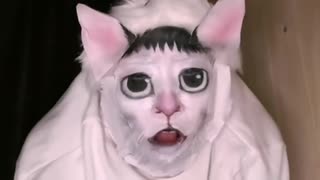 When I'm got bored of cat meme