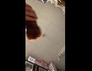 Coca-Cola Shake