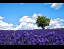 【初音ミク】unknown place【オリジナル曲PV】
