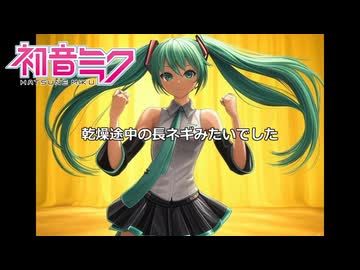 あなたのウリ姫