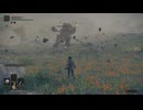 二人で操作を分けてエルデンリング#10
