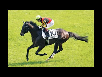 【競馬】競走馬のイメージソングをAIに作ってもらった【シャフリヤール】