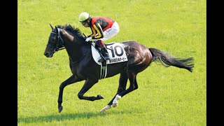 【競馬】競走馬のイメージソングをAIに作ってもらった【シャフリヤール】