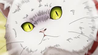 mono たいしょう、キュウリを見て驚く