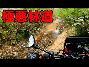 「福島に存在する極悪林道」林道を抜けたその先は絶景が広がる場所だった