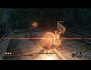 sc^イカれた生放送(SEKIRO)　１６－６