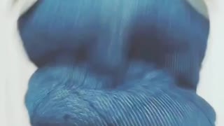 自分軸