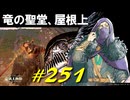 崩れゆくファルム・アズラで沢山の獣人たちや久々の坩堝の騎士と戯れまくったりします【初見】エルデンリング実況／盗賊王物語【オフライン】#251