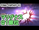 【FF11】マリグナス防具@１部位の戦い／経験値を得るの夜は醴泉島で＿＿カッパのヴァナ・ディール生活