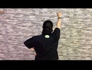 【芝健誕生祭2025】ピースサイン【踊ってみた】