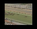 1987 日本ダービー (GI)　メリーナイス