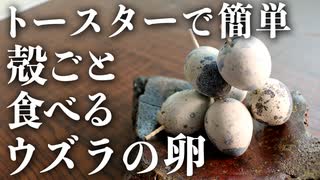 【殻ごと食べる！？】トースターで簡単『ウズラ卵の室蘭焼』の作り方
