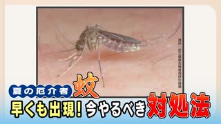 「蚊」早くも出現　刺されないためには･･･　専門家"虫除けは露出部分にまんべんなく""飲酒・運動後は要注意"蚊が好むのは"バラの匂い""足の臭い"　発生源の水たまりを減らす努力も