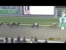 第13回イーハトーブマイル ユウユウコラソン