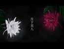 月下美人 / 初音ミク