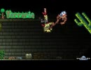 サボテンを手に入れてピラミッドに不法侵入！『Terraria』#part2