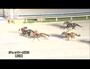 2025年5月26日金沢競馬9R ２０２５地方競馬ジョッキーズチャンピオンシップ第２戦(C2-一) ナックジュピター