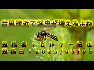 台風接近で淫虫が増えるよね　投稿者：ビルダー拓也