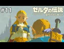 コンプレックス【ゼルダの伝説 ブレス オブ ザ ワイルドのんびり実況】#11
