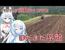 2025年5月27日　農作業日誌P1373　小さい畑はこれでラスト！ジャガイモ掘りを頑張っていこう！