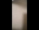 250527_224737Re:turn