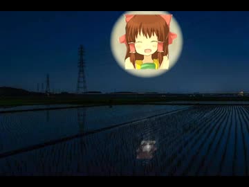 カエルの大合唱神社