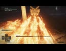 二人で操作を分けてエルデンリング#12