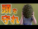 ヒロハノナンヨウスギに近づいてはいけない理由がこちら
