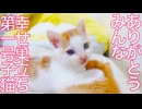 保護子猫5兄妹、長女子猫の巣立ちのとき