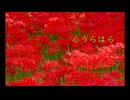 心うらはら / Mai 【オリジナル曲】