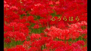 心うらはら / Mai 【オリジナル曲】