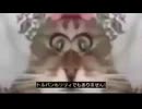 猫と花　改（音割れ）翻訳付き
