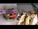 セブンイレブンのマシッソ！韓国イチ推しグルメのさつまいもを楽しむひとくちコグマのアーモンドがけの塩キャラメル＆ホイップを食べました。　#セブンイレブン #マシッソ #韓国 #さつまいも #コグマ