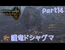 【独り言実況】ゲーム内方向音痴はもう喘がない？？モンハンワイルズ【Part14】