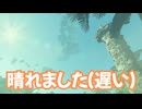ゼルダの伝説　ティアーズ オブ ザ キングダム　実況プレイPart387