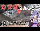カツオを一本丸ごと買って捌いてみた【VOICEROIDキッチン】