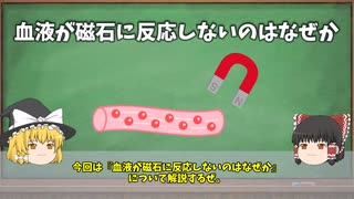 【ゆっくり解説】知識０からわかる！なぜ血液には鉄分が含まれているのに磁石に引っ張られないのかを10分で簡単完全解説