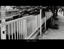 Hazy Cloudy.-初音ミク、琴葉葵