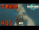 リトとの再会【ゼルダの伝説 ティアーズ オブ ザ キングダム】Part15